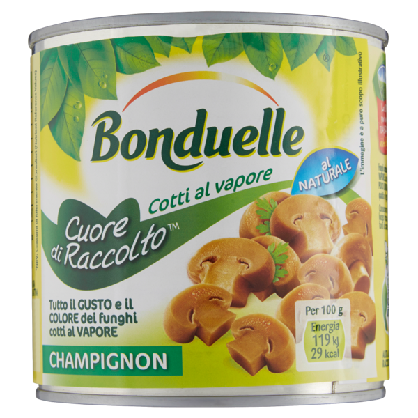 Image of Bonduelle Cuore di raccolto Champignon 230 g 1393892