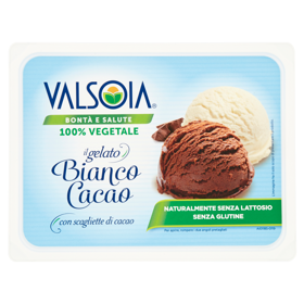 Valsoia Bontà e Salute il gelato Bianco Cacao 500 g