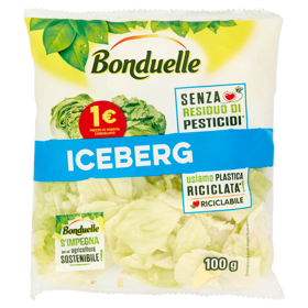BONDUELLE ICEBERG Gr.100
